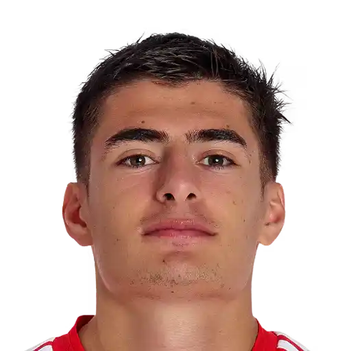 Diego Navarro